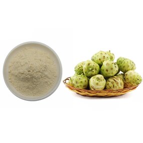 Noni Powder Manufacturer - Fruit Extract Water Soluble