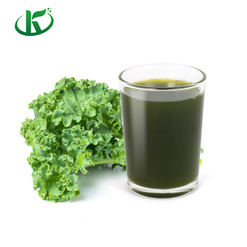 Kale Powder Manufacturer - Organic Freeze-Dried Extract