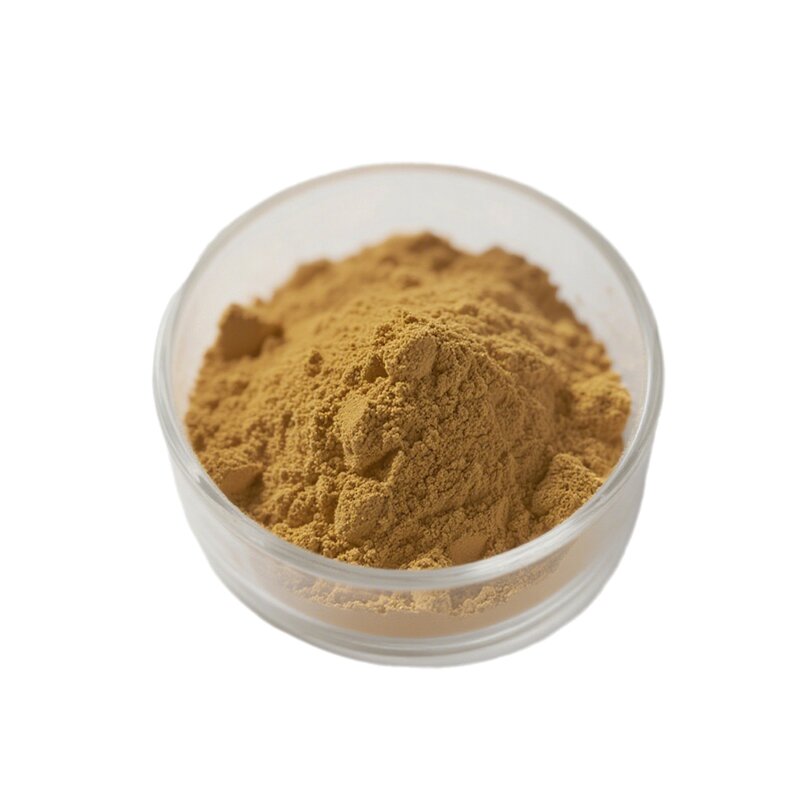 White Tea Powder Manufacturer - Instant 100% Pure Organic