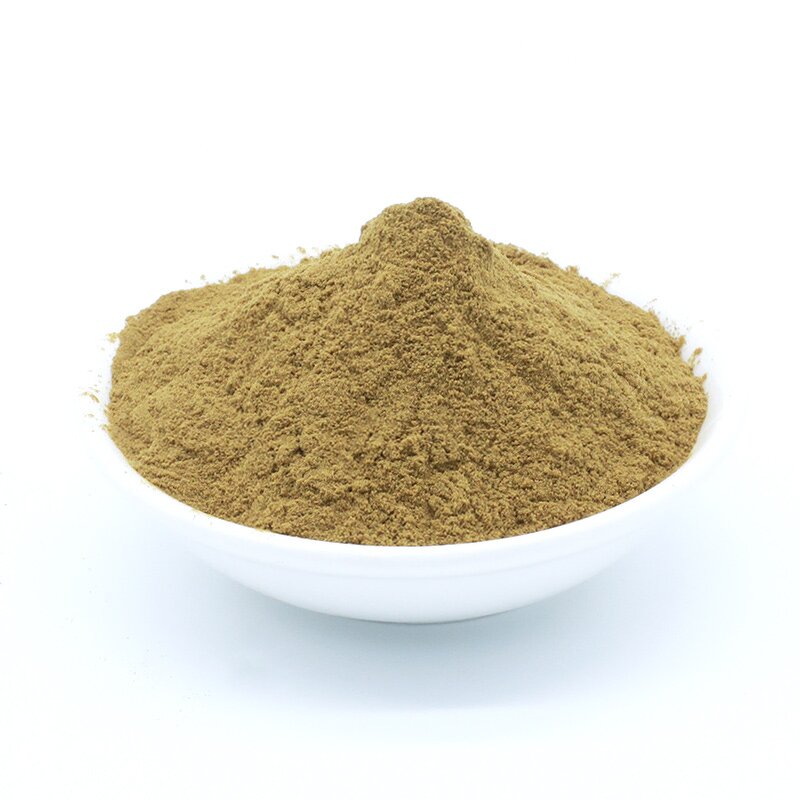 Oyster Extract Powder Manufacturer - 99% Purity Meat Nutritional