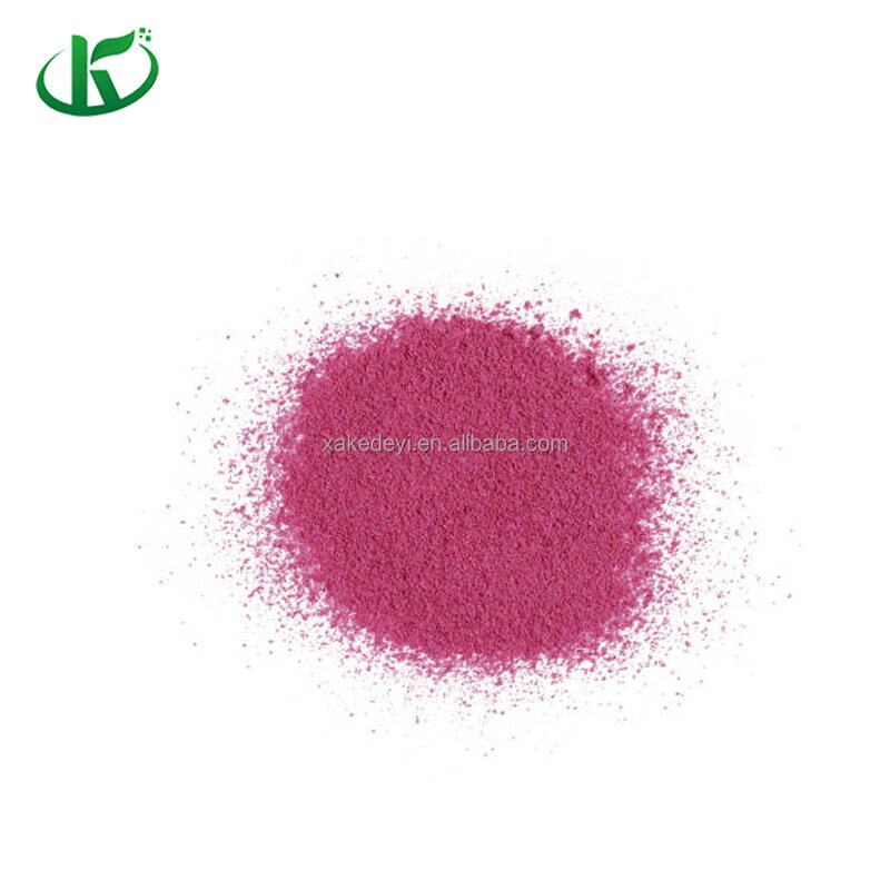 Blackcurrant Powder Manufacturer - Freeze Dried Juice