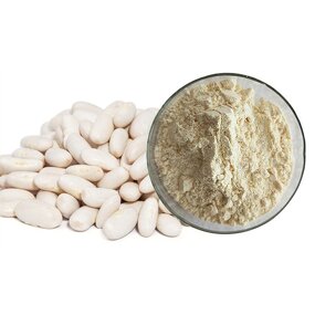 White Kidney Bean Extract Manufacturer - 2% Phaseolin Powder