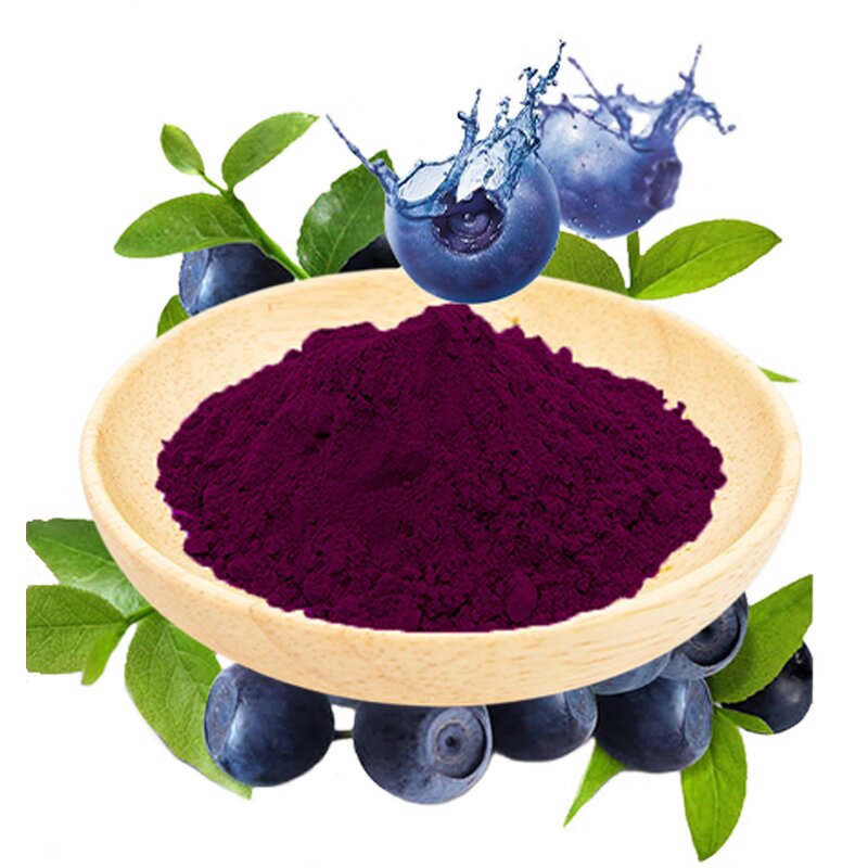 Blueberry Extract Powder Manufacturer - 25% Anthocyanins Natural