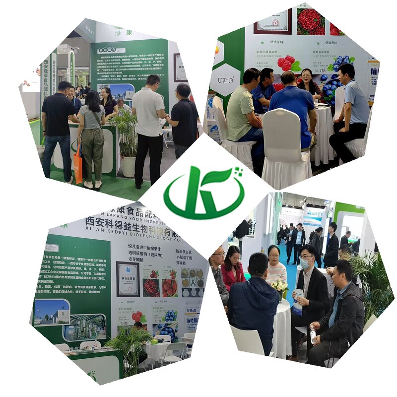 Yerba Mate Extract Powder Manufacturer - Instant Tea