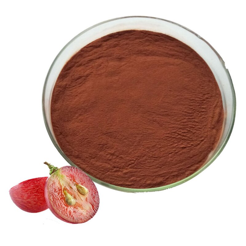 Grape Seed Extract Powder Manufacturer - 95% OPC Anthocyanin