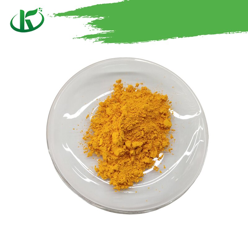 Riboflavin Powder Manufacturer - Vitamin B2 CAS 83-88-5