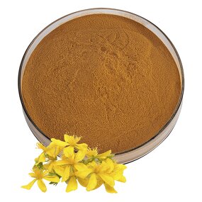Forsythia Powder Manufacturer - Forsythin Seed Extract Food Grade