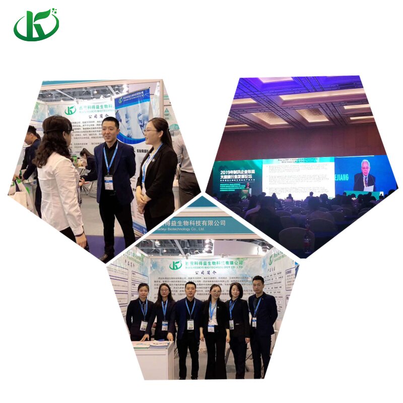 Millet Flour Manufacturer - 100% Organic Wheat & Grains