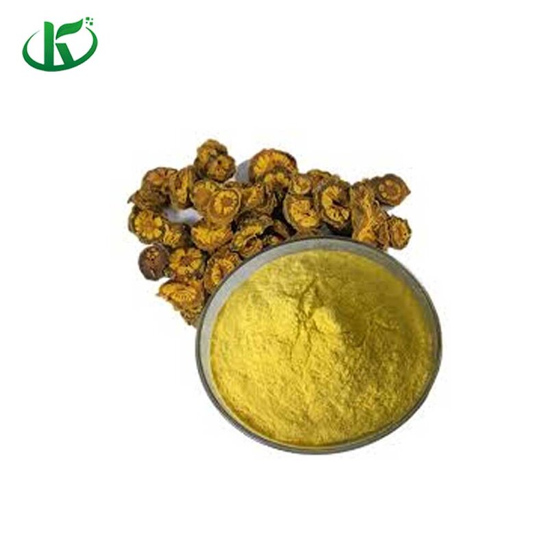 Berberine Powder Manufacturer - 98% HCL with 50% Liposomal