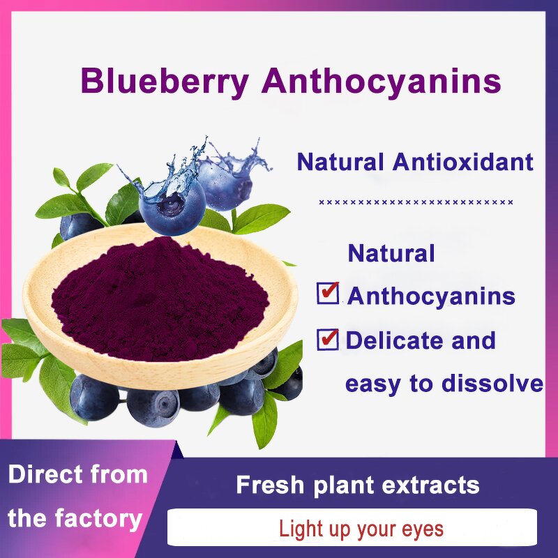 Blueberry Extract Powder Manufacturer - 25% Anthocyanins Natural
