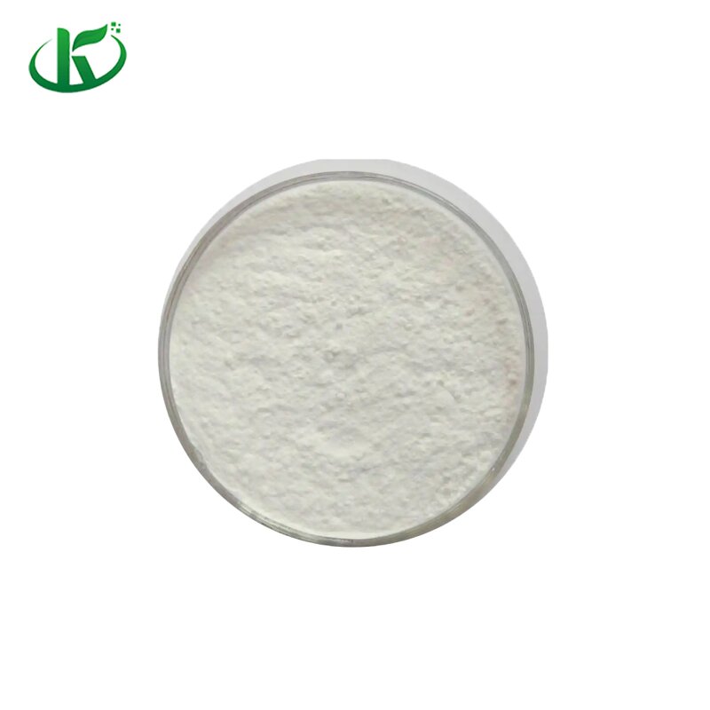 Sea Cucumber Peptide Manufacturer - Water Soluble Protein Supplement