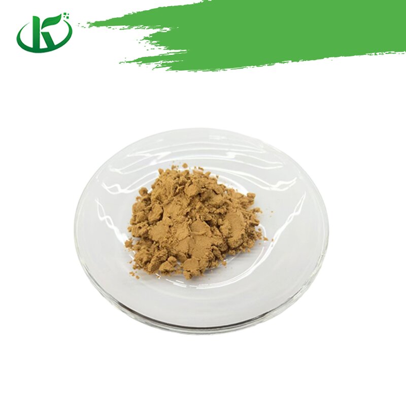 Lion's Mane Powder Manufacturer - Hericium Erinaceus Extract