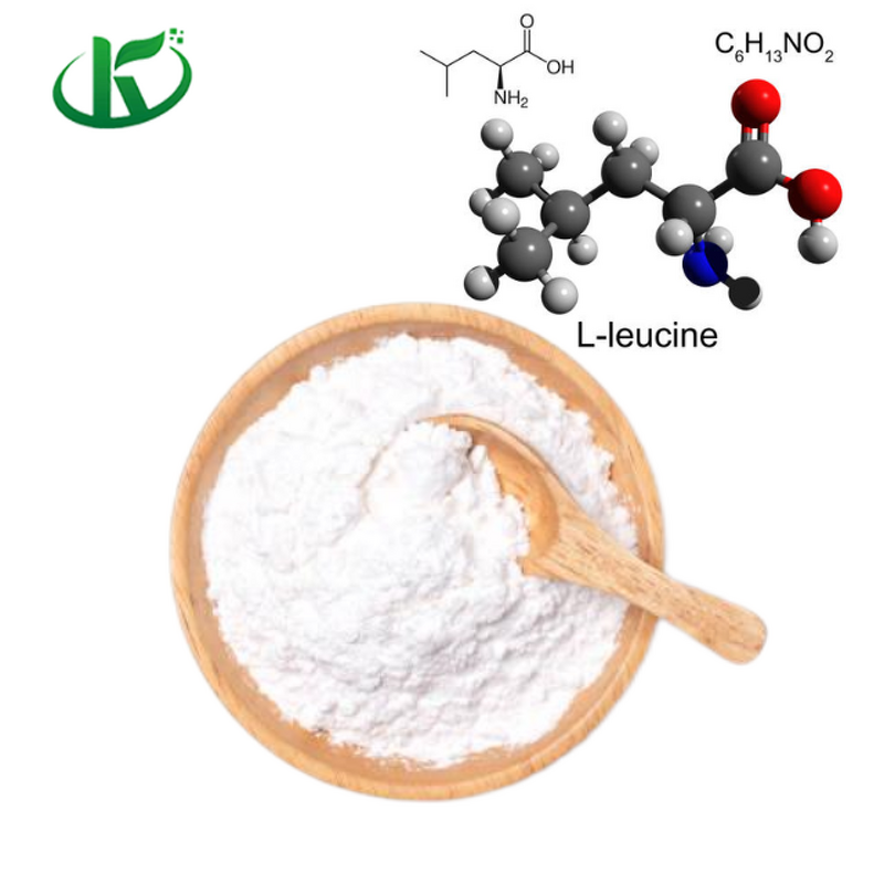 Leucine Powder Manufacturer - L-Leucine Food Grade Amino Acid