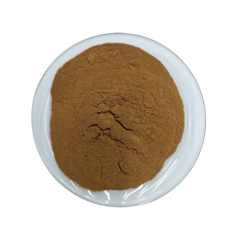 Yerba Mate Powder Manufacturer - 100% Pure Organic Instant
