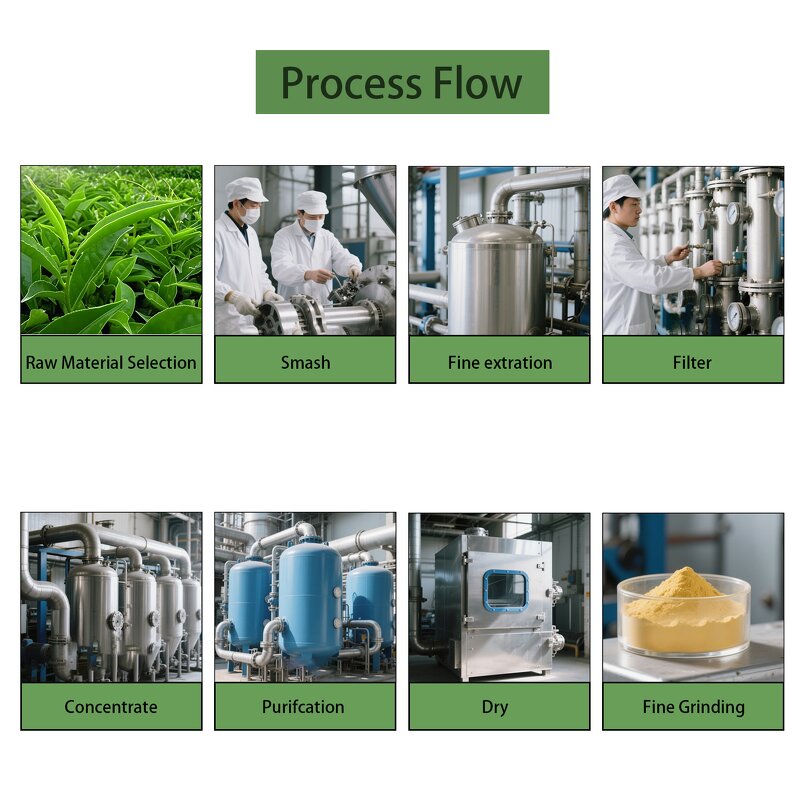 Coconut Water Powder Manufacturer - High Concentrate Dried