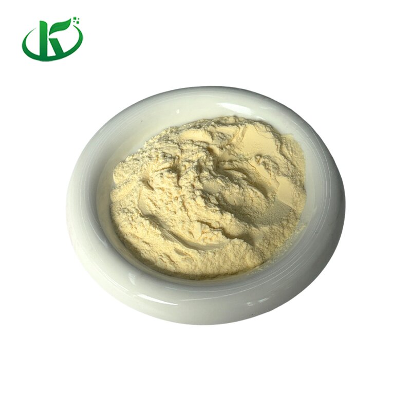 Ginseng Peptide Powder Manufacturer - Panax Supplement