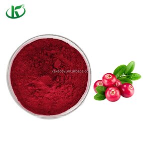 Cranberry Extract Powder Manufacturer - Cold-Processed