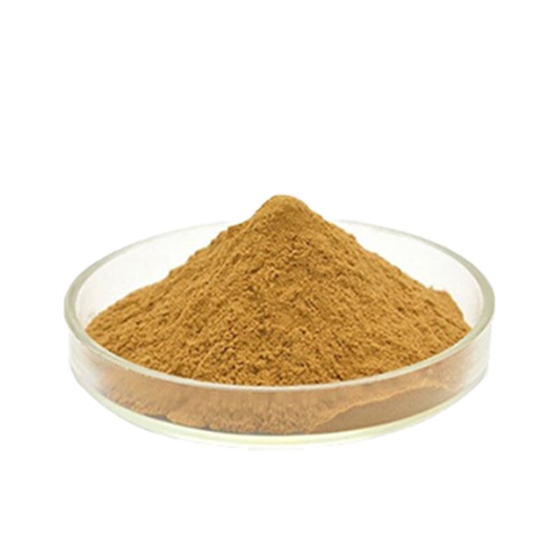 Yerba Mate Tea Powder Manufacturer - Herbal Extract Instant
