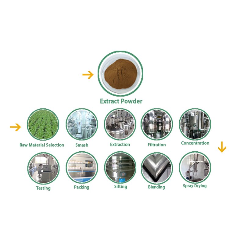 L-Arginine Powder Manufacturer - 99% HCL Nutrition Enhancer