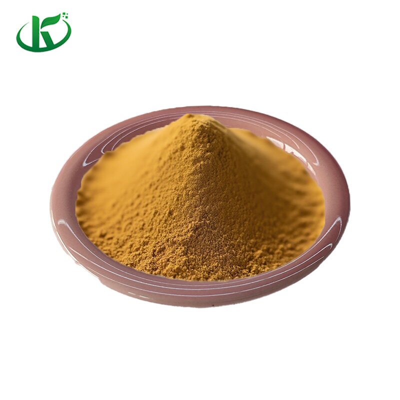 White Tea Powder Manufacturer - Instant 100% Pure Organic