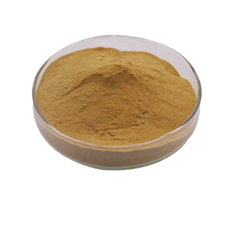 Cynomorium Powder Manufacturer - 10:1 Herb Extract for Men