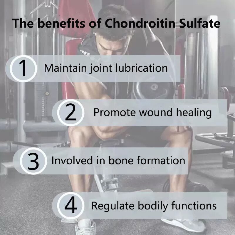 Chondroitin Sulfate Powder Manufacturer - 85%-95% Marine