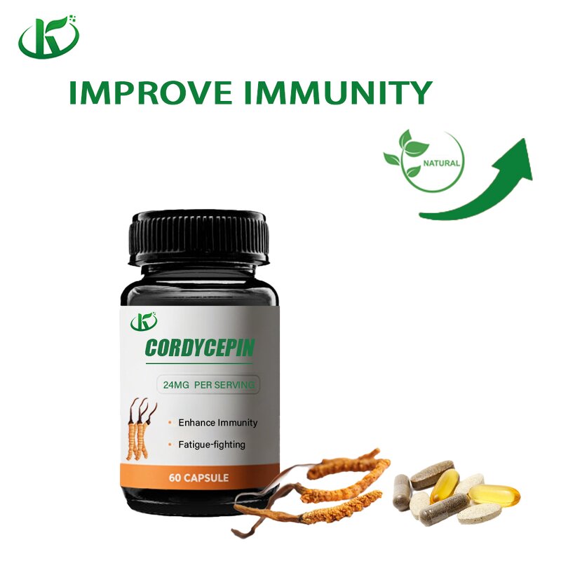 Cordyceps Capsules Manufacturer - Cordycepin Extract Powder