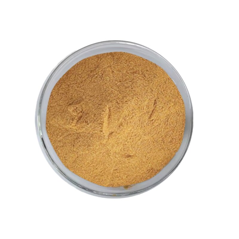 Yerba Mate Extract Powder Manufacturer - Instant Tea