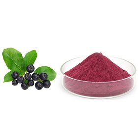 Chokeberry Extract Manufacturer - Cold-Pressed 35% Anthocyanins