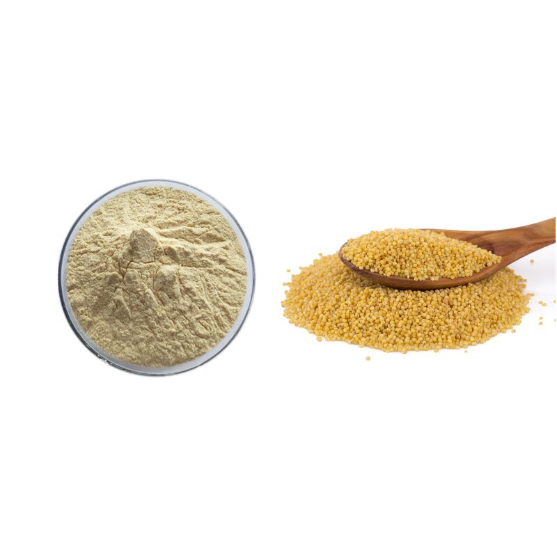 Millet Flour Manufacturer - 100% Organic Wheat & Grains