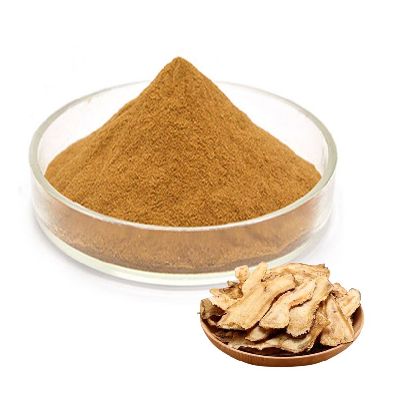 Angelica Extract Powder Manufacturer - 10:1 Ligustilide
