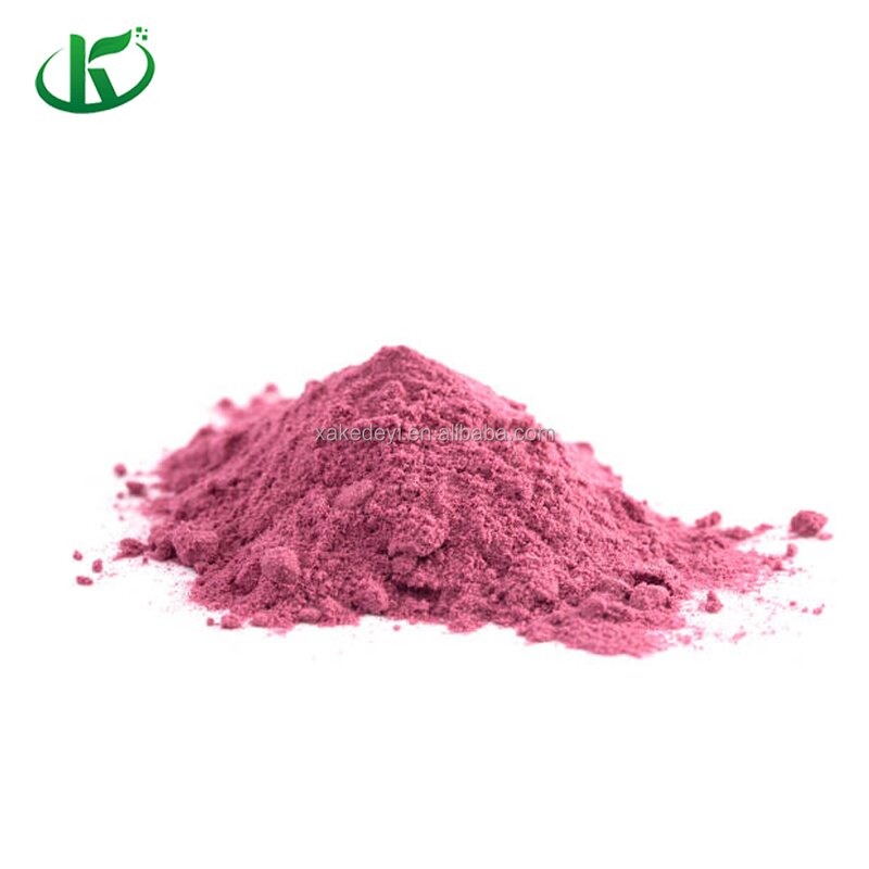 Blackcurrant Powder Manufacturer - Freeze Dried Juice