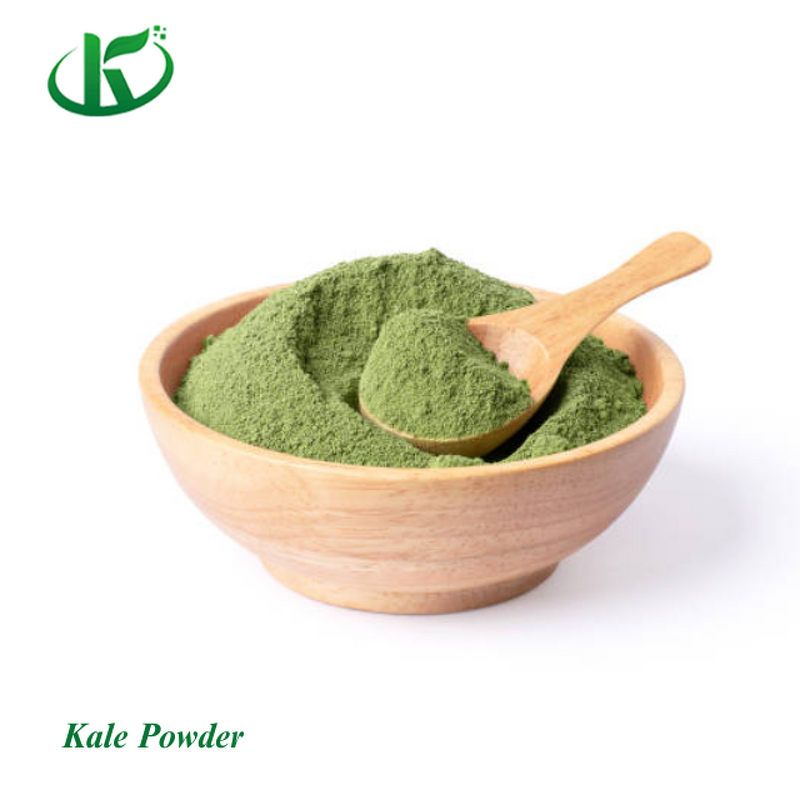 Kale Powder Manufacturer - Organic Freeze-Dried Extract