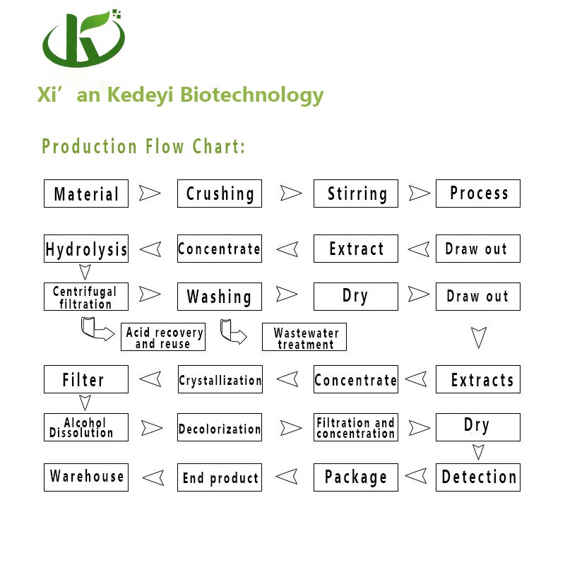 Ginseng Extract Powder Manufacturer - Korean Red Root
