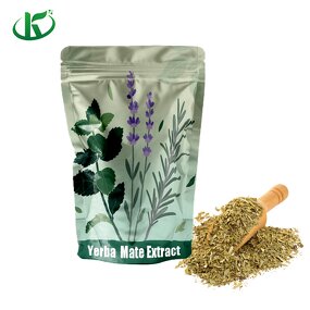 Yerba Mate Tea Powder Manufacturer - Herbal Extract Instant