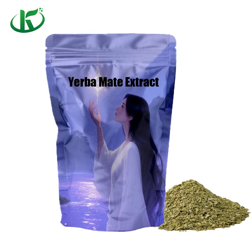 Yerba Mate Powder Manufacturer - 100% Organic 330g/bag