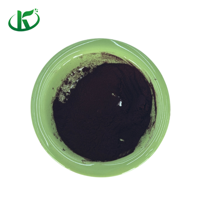 Black Currant Extract Manufacturer - 25% Anthocyanidins