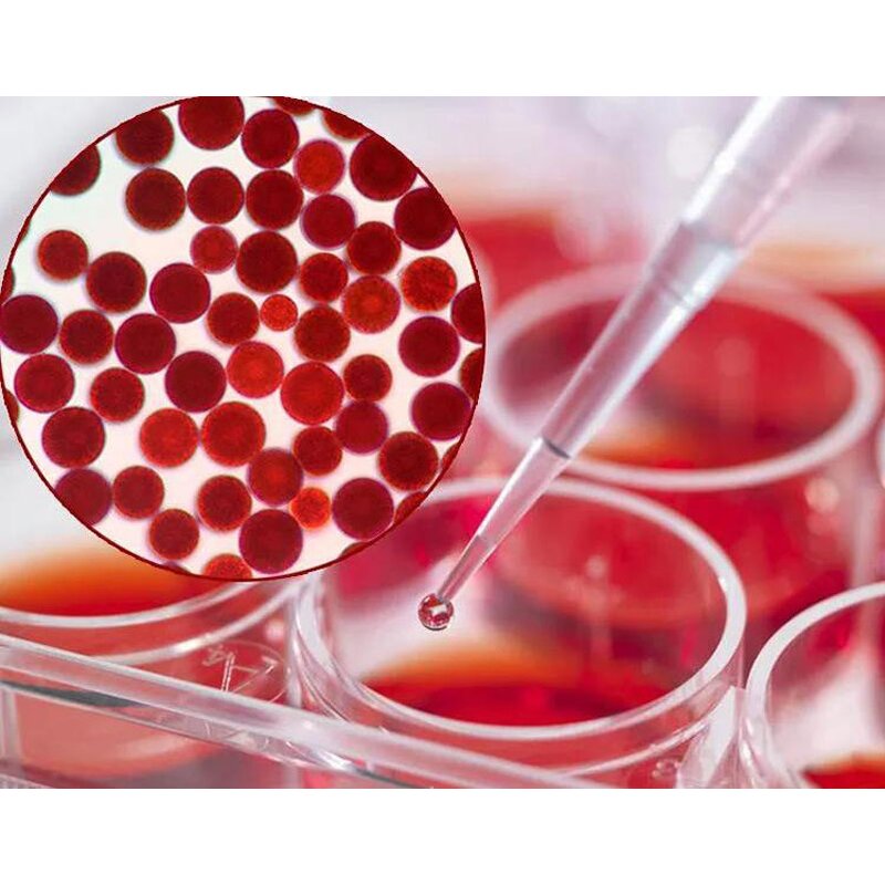 Astaxanthin Powder Manufacturer - 10% Haematococcus Pluvialis