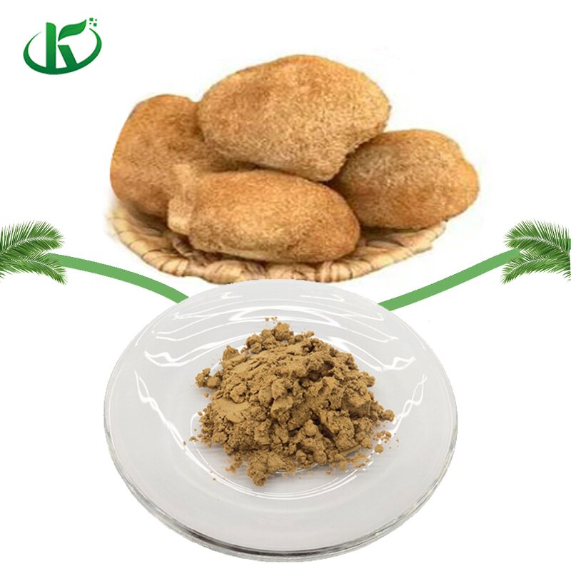 Lion's Mane Powder Manufacturer - Hericium Erinaceus Extract
