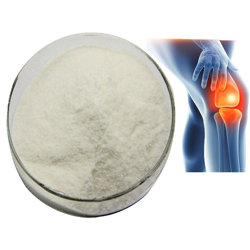 Chondroitin Sulfate Powder Manufacturer - 85%-95% Marine