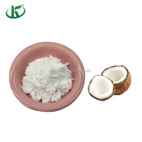 MCT Oil Powder Manufacturer - Coconut Milk Cream Powder