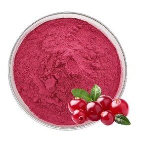 Cranberry Powder Manufacturer - Juice Fruit 100% Natural