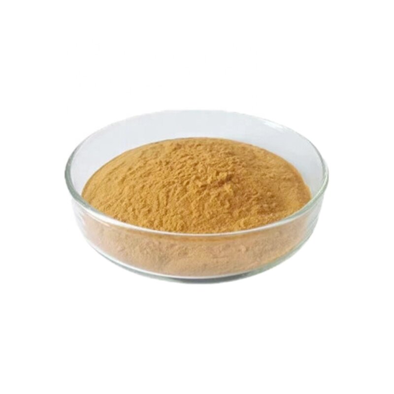 Fenugreek Extract Manufacturer - 10:1 Seed Herbal Powder