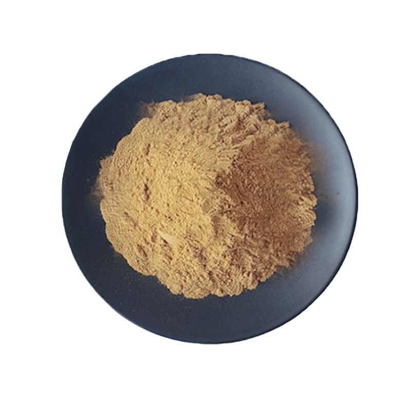 Fenugreek Extract Manufacturer - 10:1 Seed Herbal Powder