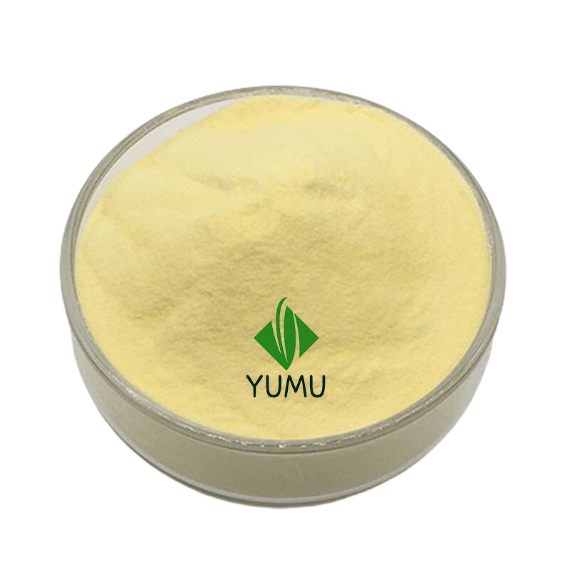 Ginger Powder - Manufacturer - Pure Food Grade Additive Bulk