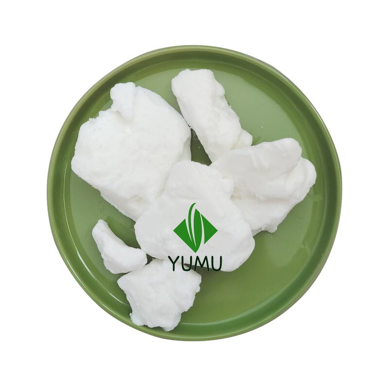 Cocoa Butter Oil - Manufacturer - Food Grade Raw for Chocolate Making