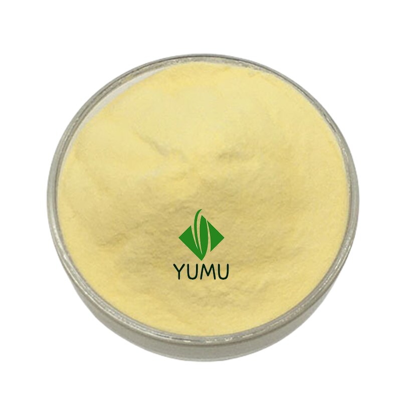 Cationic Guar Gum - Manufacturer - Pure Cosmetic Grade Thickener Bulk