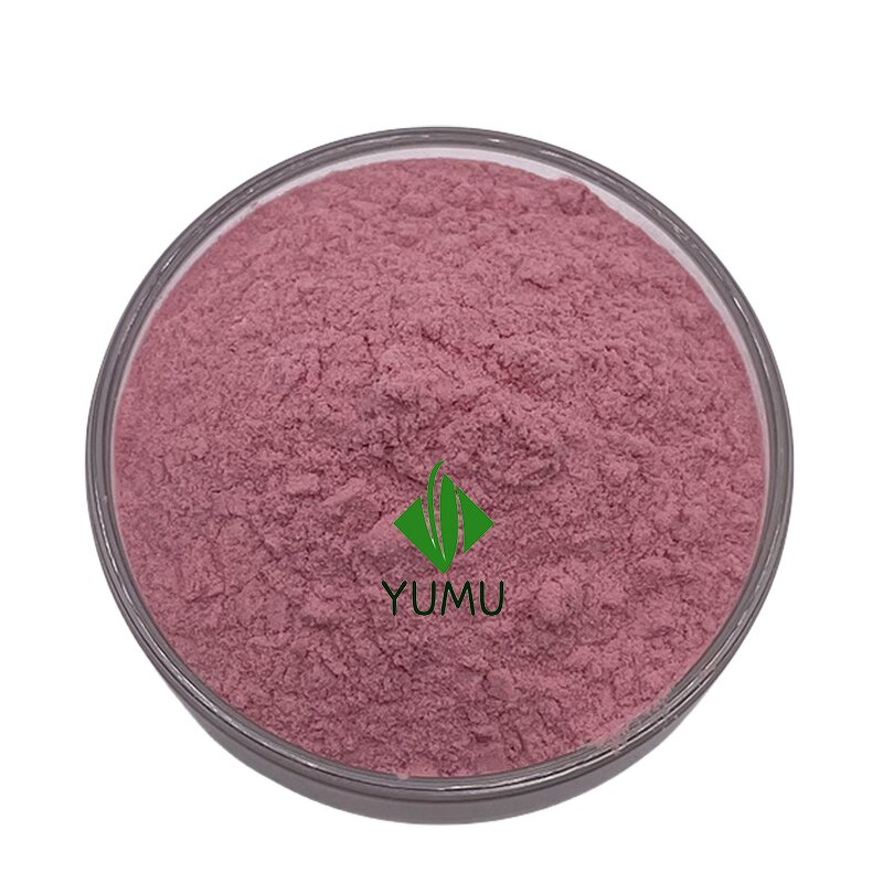 Acai Berry Powder - Manufacturer - Pure Food Grade Additive Bulk