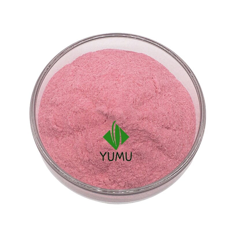 Rosehip Powder - Manufacturer - Pure Food Grade Additive Bulk