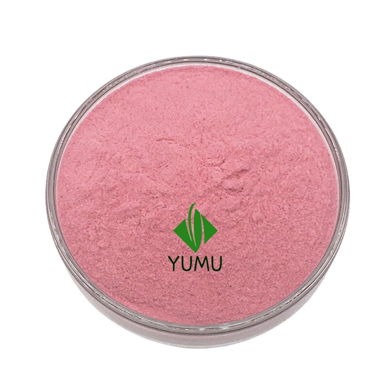 Rosehip Powder - Manufacturer - Pure Food Grade Additive Bulk